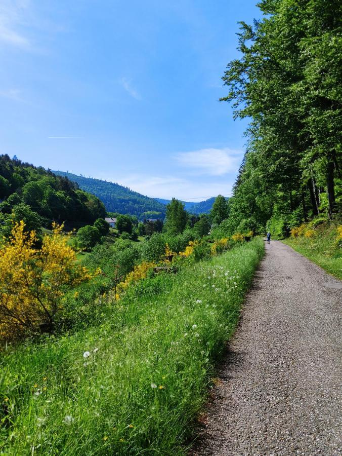 Fewo Albtaleck - Wohnen Im Kurort Waldbronn Εξωτερικό φωτογραφία